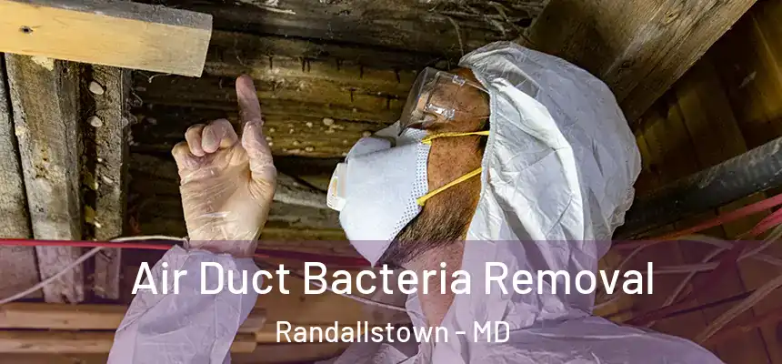  Air Duct Bacteria Removal Randallstown - MD