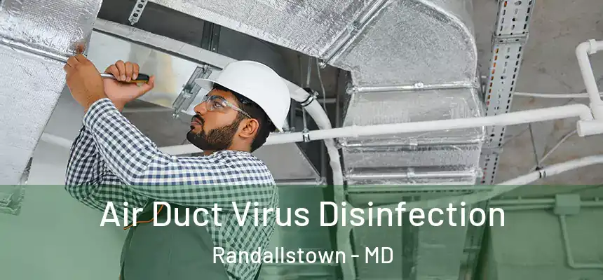  Air Duct Virus Disinfection Randallstown - MD
