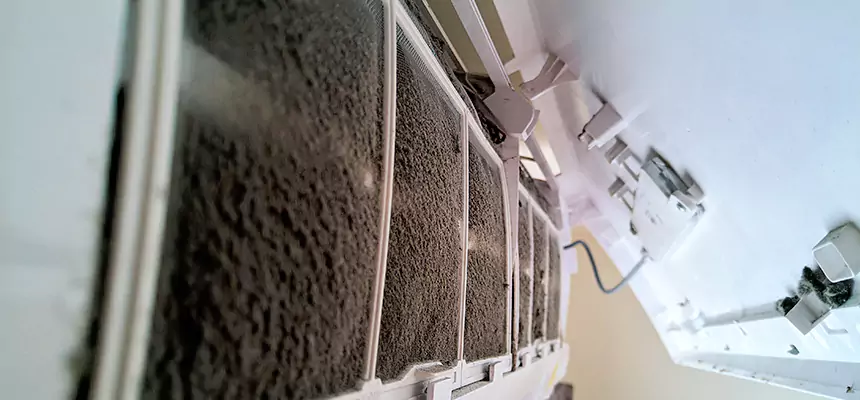 Preventive Air Duct Bacteria Removal in Randallstown