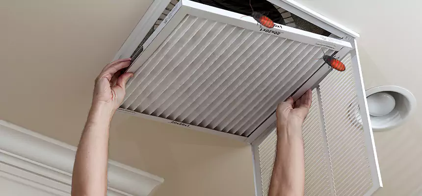 Preventive Cockroach-Proofing for Ducts in Randallstown