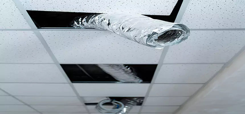 Our Air Duct Pet Hair Removal Services in Randallstown, MD