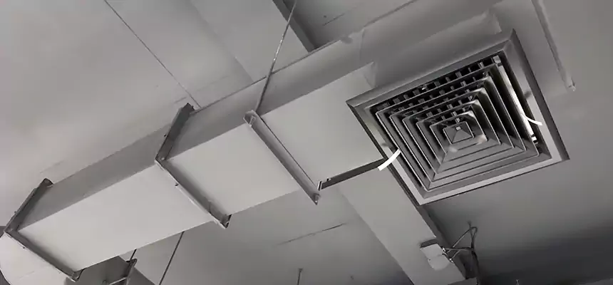 Our Pest Removal From Ducts Services in Randallstown, MD