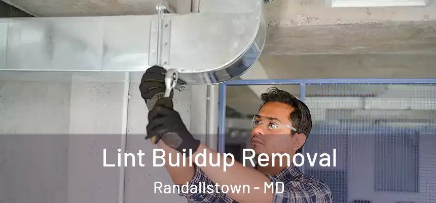  Lint Buildup Removal Randallstown - MD