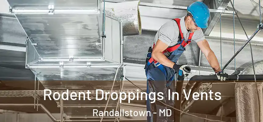 Rodent Droppings In Vents Randallstown - MD
