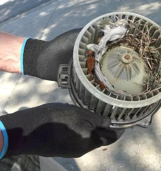 About Air Duct Mice Removal in Randallstown, MD