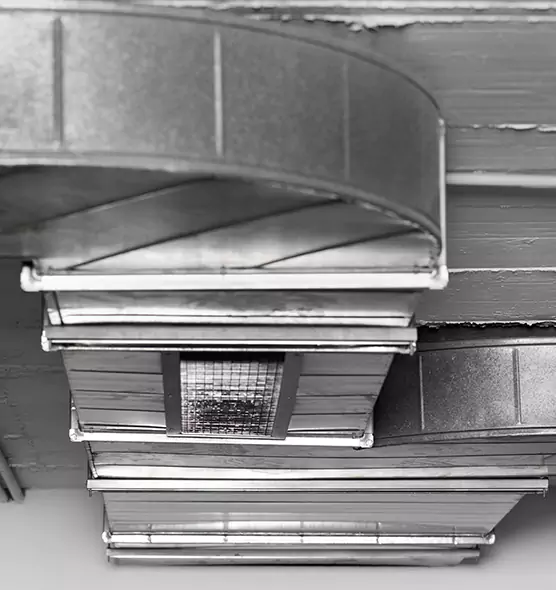 Professional Air Duct Pest Removal in Randallstown, MD