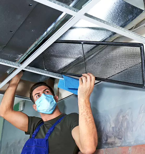Professional Air Duct Pollen Cleaning in Randallstown, MD