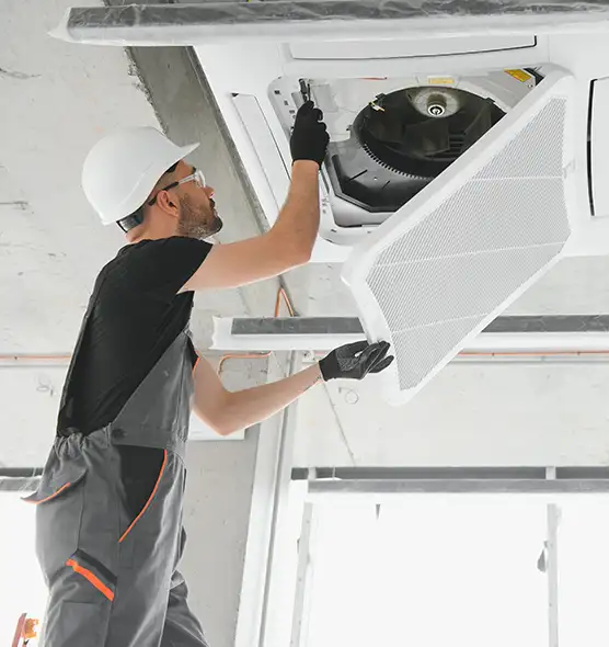 About Air Duct Rodent Removal in Randallstown, MD