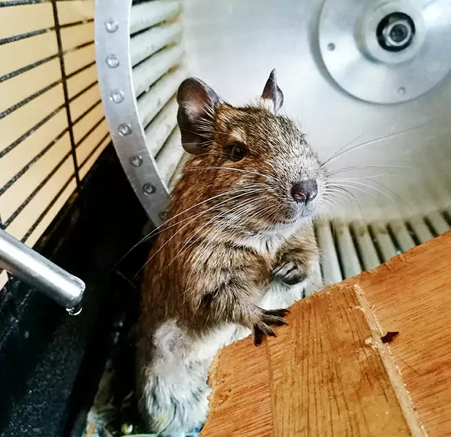 Why Homeowners & Businesses Trust Us Randallstown, MD