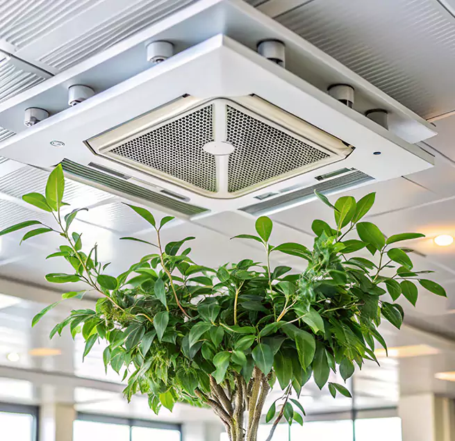 Why Homeowners & Businesses Trust Us in Randallstown, MD?