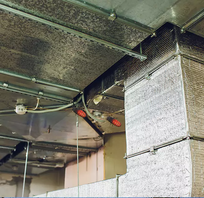 Why Homeowners & Businesses Trust Us Randallstown, MD?