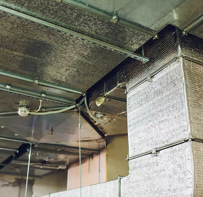 Why Homeowners & Businesses Trust Us in Randallstown, MD?